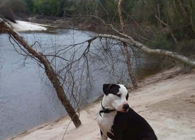 Property at Nhn Mcdonald Rd, Pass Christian, MS 39571