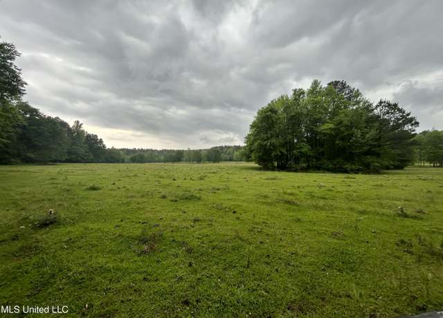 Property at Hwy 45 N, Lauderdale, MS 39335