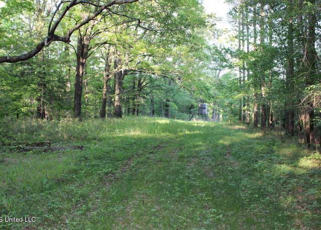 Photo of Ratliff Rd Rd, Flora, MS 39071