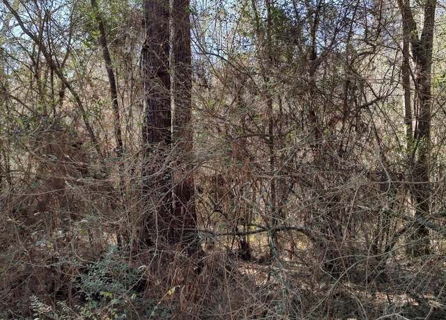 Property at No Pecan Dr, Lumberton, MS 39455