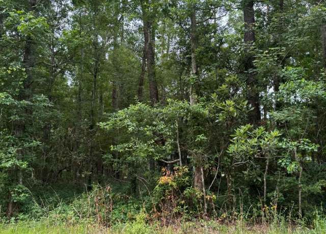 Property at E Marion St, Bay Saint Louis, MS 39520