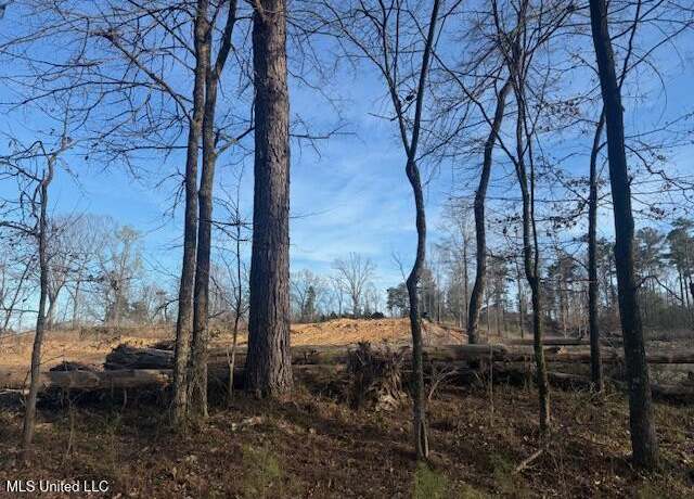 Property at 2929 Slocum Rd, Hernando, MS 38632