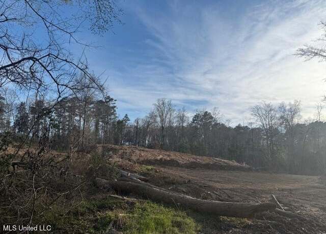 Property at Lot A Slocum Rd, Hernando, MS 38632