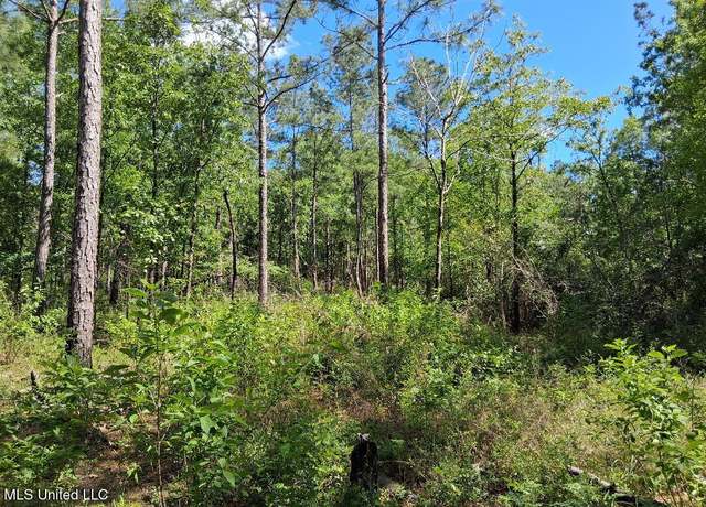 Property at 0 Ben Pierce, Lucedale, MS 39452
