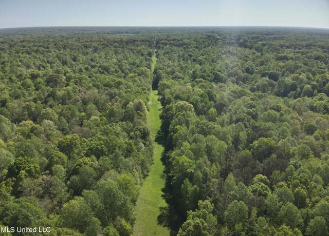 Property at Anding Oil City Rd, Bentonia, MS 39040