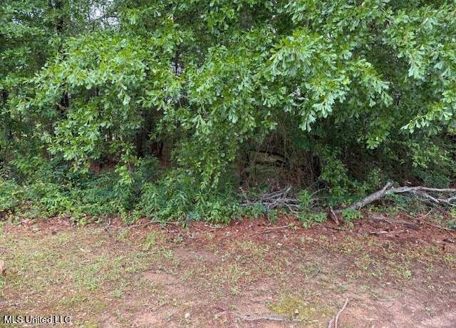 Property at 000 W Norwood/old Enoch Rd, Florence, MS 39073
