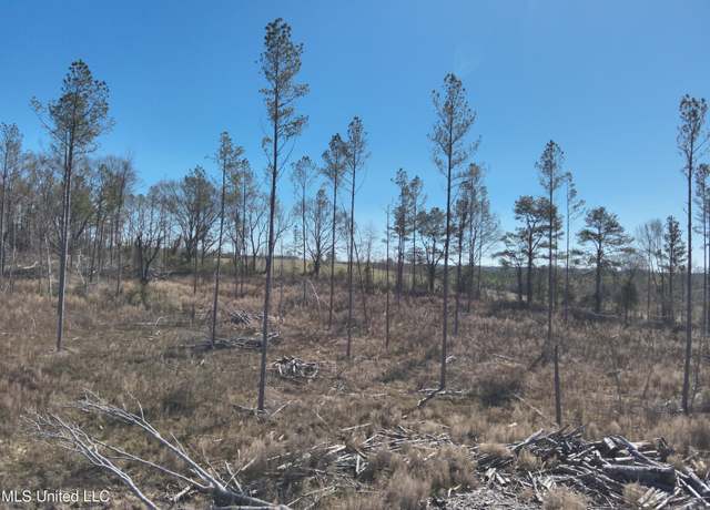 Property at 161 S S Co Road 116 A, Magee, MS 39111