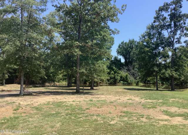 Property at 152 Peninsula Dr, Brandon, MS 39047