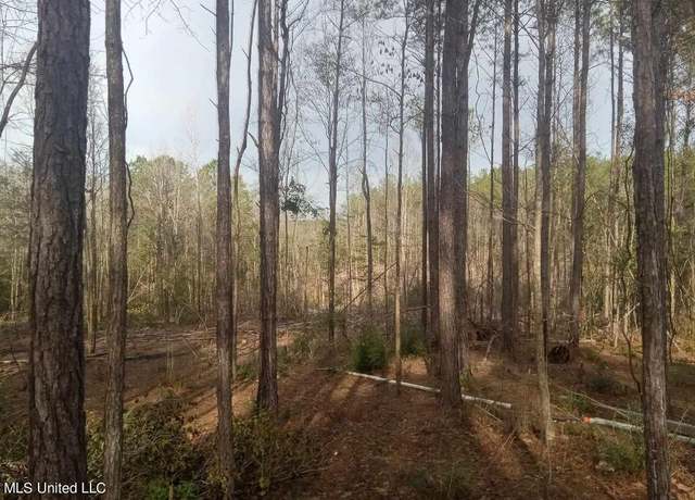 Property at 139e Old Highway 26, Lucedale, MS 39452
