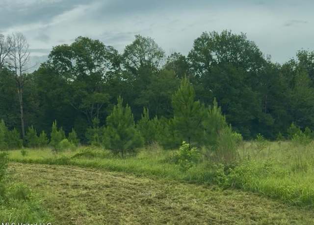 Property at Us-51, Crystal Springs, MS 39059