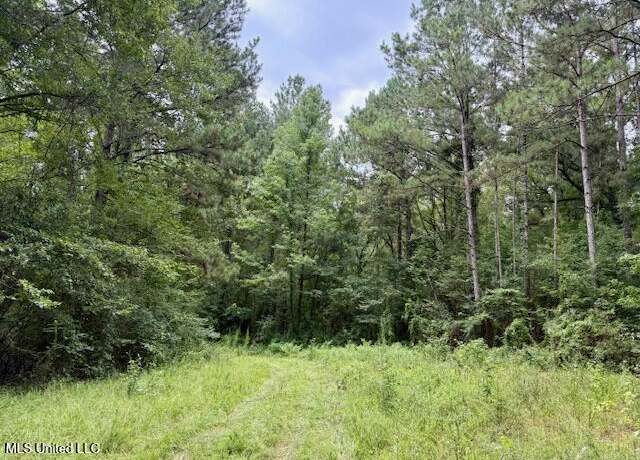 Property at Pecan Orchard Rd, Liberty, MS 39645