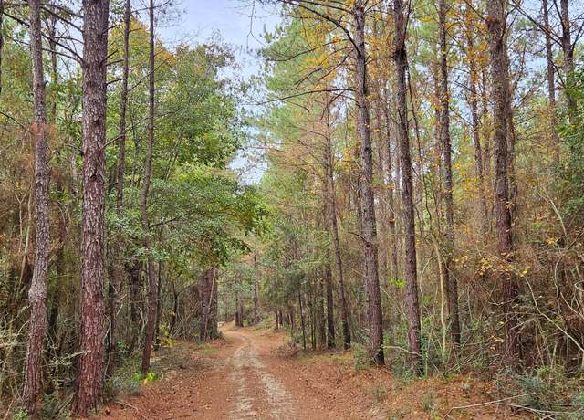 Property at Nhn Firefox, Poplarville, MS 39470