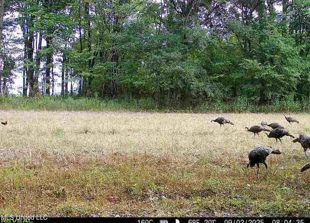 Property at Curtis Rd, Batesville, MS 38606