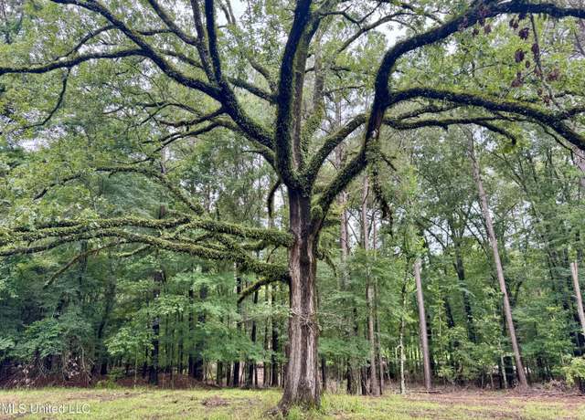 Property at 493 Gus Green Rd, Flora, MS 39071