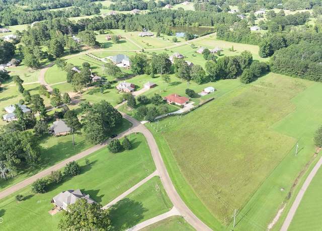 Property at 0 Levon Owens Dr, Terry, MS 39170