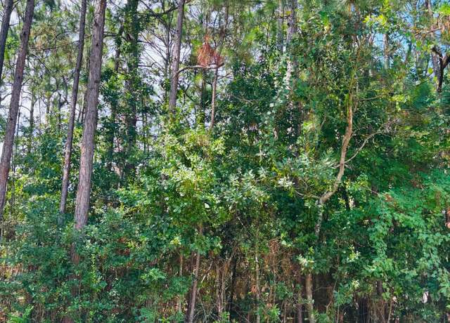 Property at Grouper Rd, Gautier, MS 39553