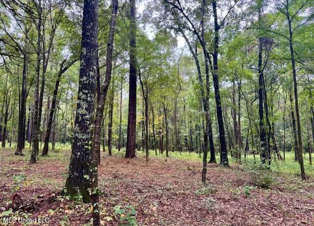 Property at Robinson Rd, Canton, MS 39046
