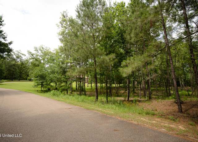 Property at Danielle Cv, Brandon, MS 39042