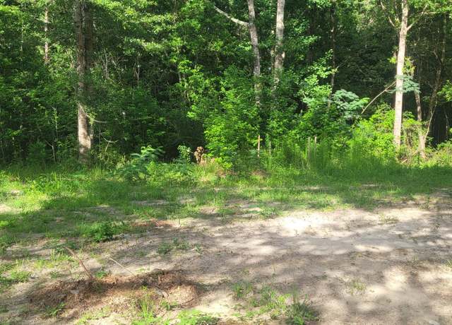 Property at 19296 Pete Hickman Rd, Saucier, MS 39574
