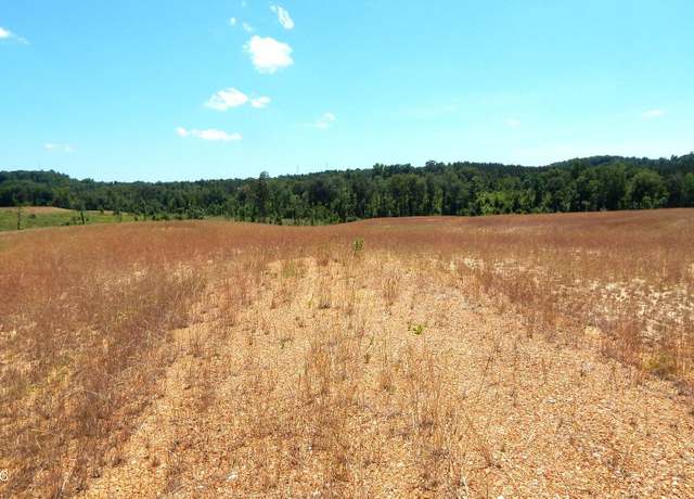 Property at 209 Hugh White State Park Rd, Grenada, MS 38901
