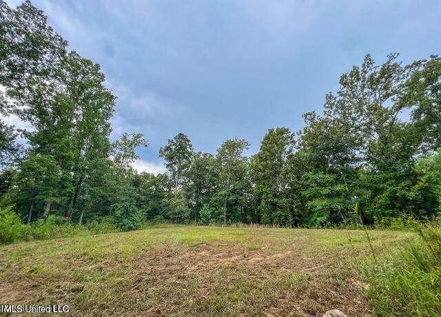 Property at 0 Hurricane Rd, Utica, MS 39175