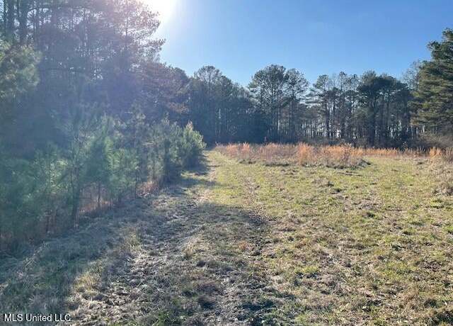 Property at 235 Woodrow Martin Rd, Brandon, MS 39042