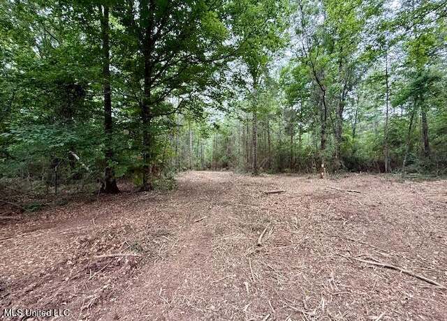 Property at Mount Herman Rd, Osyka, MS 39657