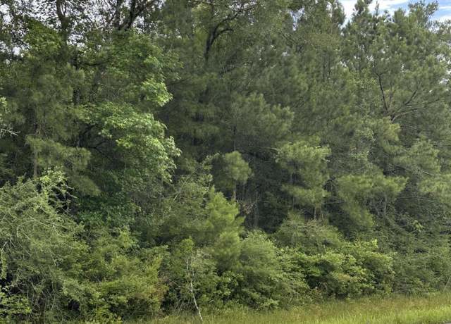Property at Ms-613, Moss Point, MS 39562