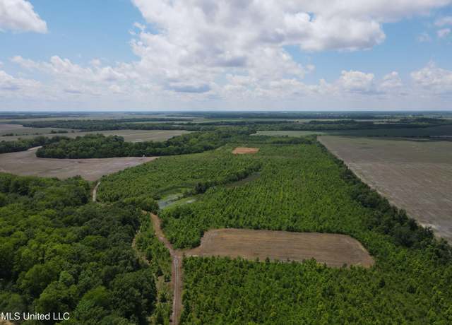 Property at Brahan Rd, Sledge, MS 38670