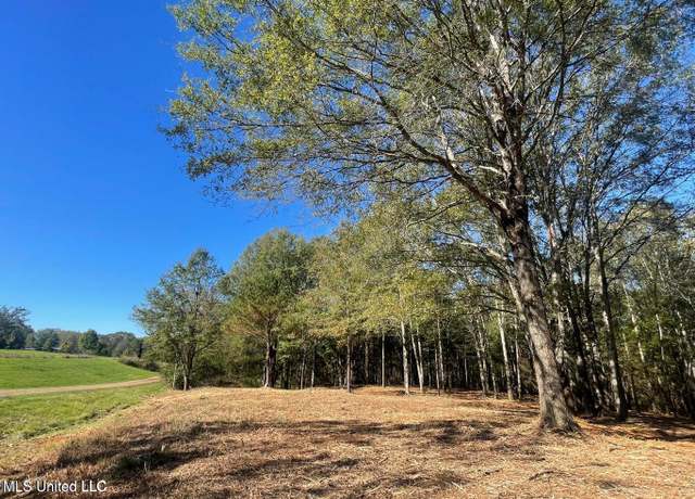 Property at 1 Lep Childress Rd, Flora, MS 39071