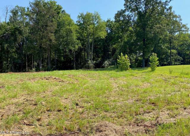 Property at Mt Pleasant Rd, Byhalia, MS 38611