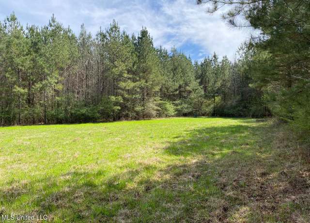 Property at 94 Acres Everett Rd, Hickory, MS 39332
