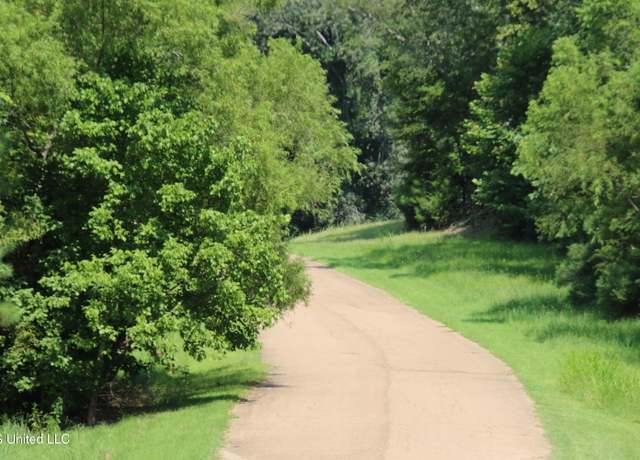 Property at 91 Moonlight Holw, Flora, MS 39071