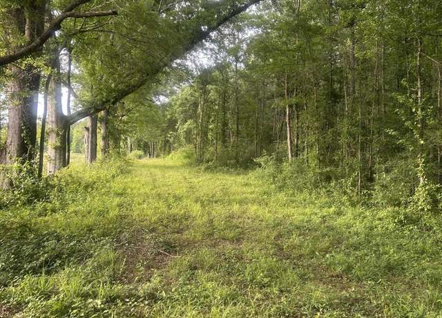 Property at 00 E Old Hwy 80, Morton, MS 39117