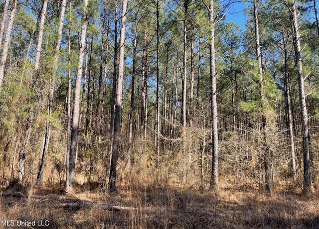 Property at 00 Sun Rd, Raleigh, MS 39153