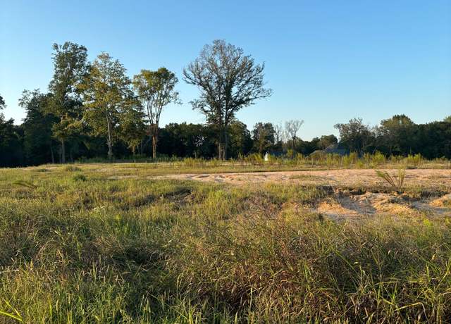 Property at 32 Pebble Ridge Dr, Byhalia, MS 38611