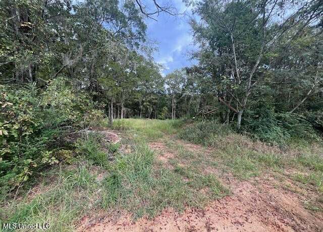 Property at 000 Clinton- Raymond Rd, Clinton, MS 39056