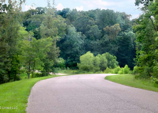 Property at 92a Moonlight Holw, Flora, MS 39071