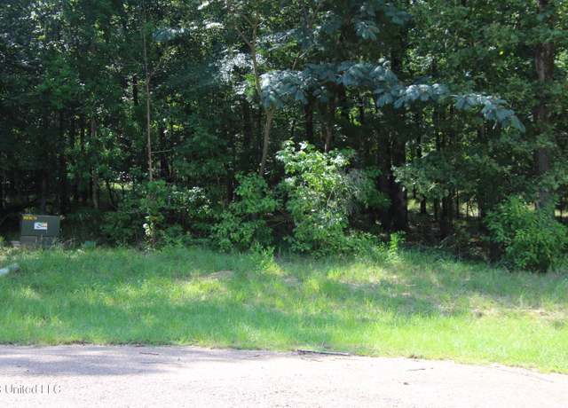 Property at 92a Moonlight Holw, Flora, MS 39071
