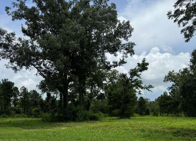 Property at 16.2 Acrs Basin Central Rd, Lucedale, MS 39452