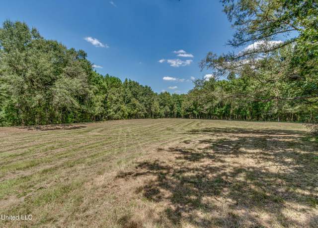 Photo of 358 Robinson Springs Rd Rd, Flora, MS 39071