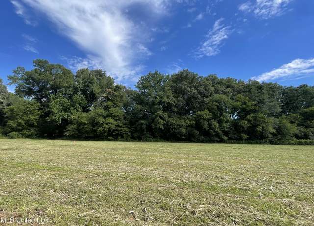 Property at 0001 Renfroe Rd, Canton, MS 39046