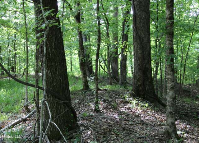 Property at Henderson Rd. Rd, Bentonia, MS 39040