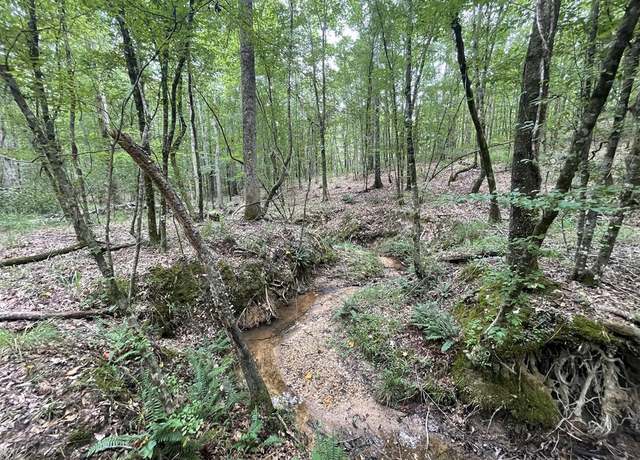 Property at 0 Antioch Rd, Hazlehurst, MS 39083