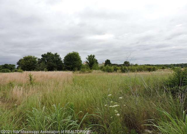 Property at 0 Pepper Chase Dr, Southaven, MS 38672