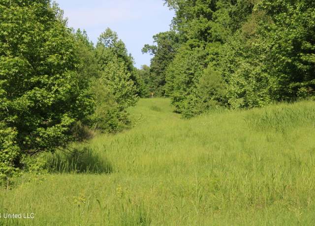 Property at Henderson Rd Rd, Bentonia, MS 39040