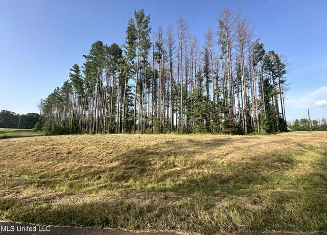 Property at 00 Honey Oak Cir, Brandon, MS 39047