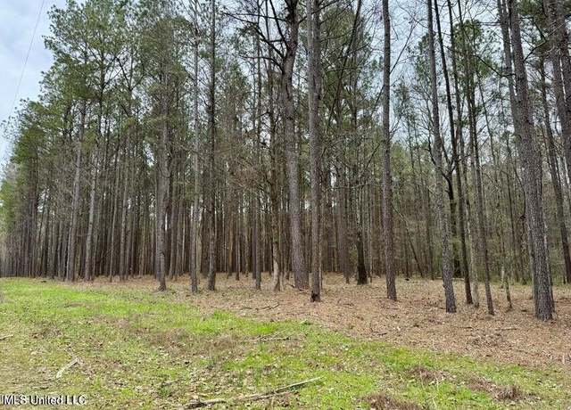 Property at 1 Robinson Rd, Canton, MS 39046