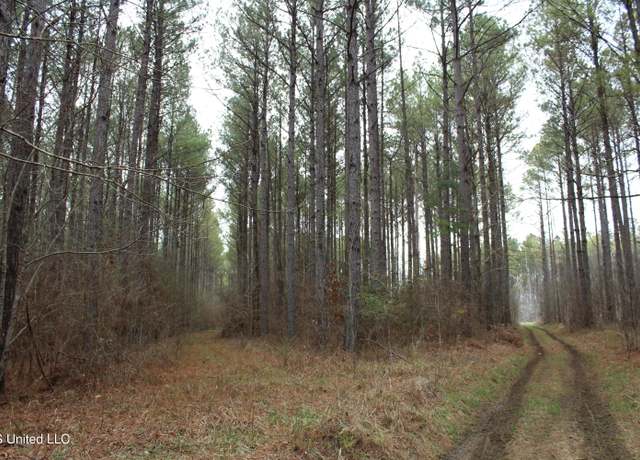 Property at Co Rd 2414, Rose Hill, MS 39356