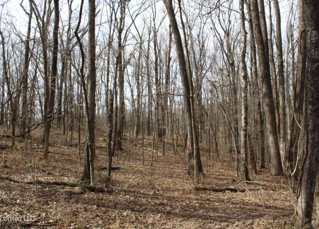 Property at 2167 Hogan Rd, Holly Springs, MS 38635